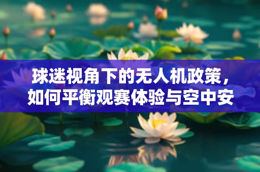 球迷视角下的无人机政策，如何平衡观赛体验与空中安全？