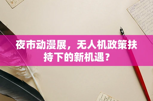 夜市动漫展，无人机政策扶持下的新机遇？
