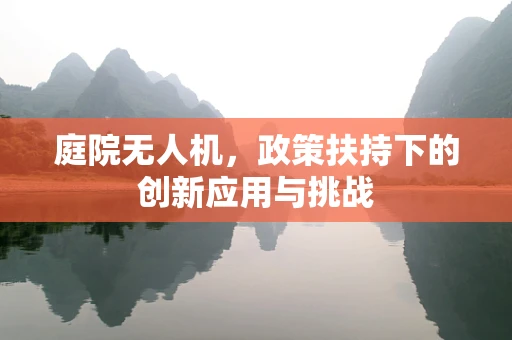 庭院无人机，政策扶持下的创新应用与挑战