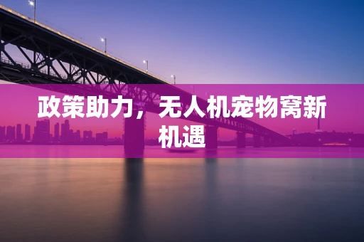 政策助力，无人机宠物窝新机遇