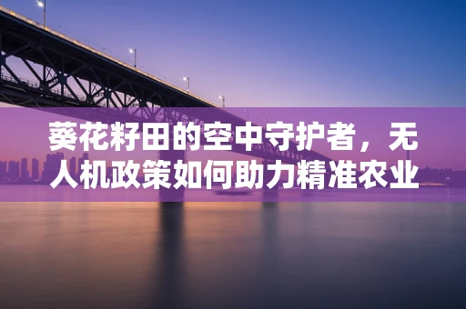 葵花籽田的空中守护者，无人机政策如何助力精准农业？