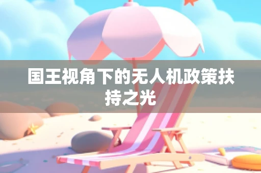 国王视角下的无人机政策扶持之光