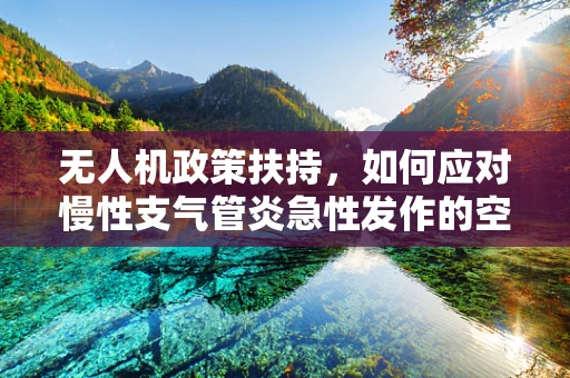无人机政策扶持，如何应对慢性支气管炎急性发作的空中挑战？