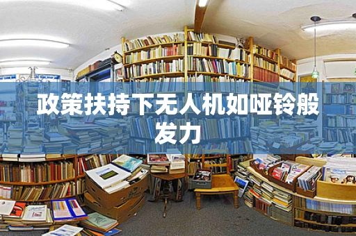 政策扶持下无人机如哑铃般发力