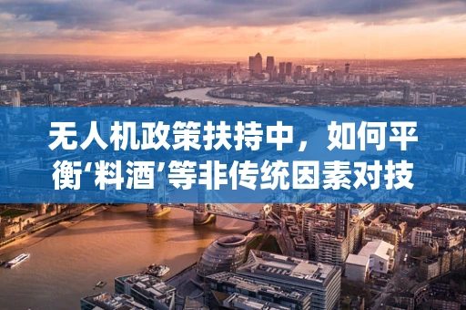 无人机政策扶持中，如何平衡‘料酒’等非传统因素对技术发展的影响？