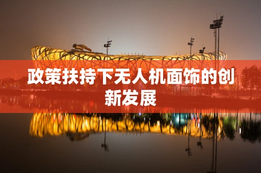 政策扶持下无人机面饰的创新发展
