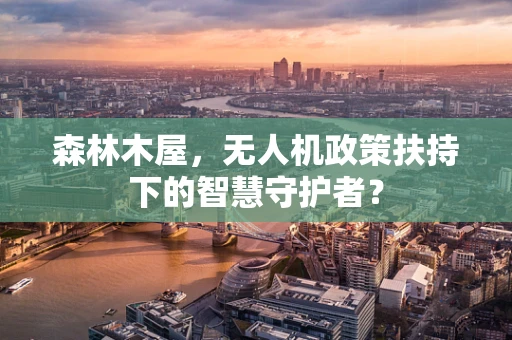 森林木屋，无人机政策扶持下的智慧守护者？