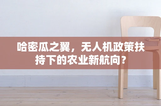 哈密瓜之翼，无人机政策扶持下的农业新航向？