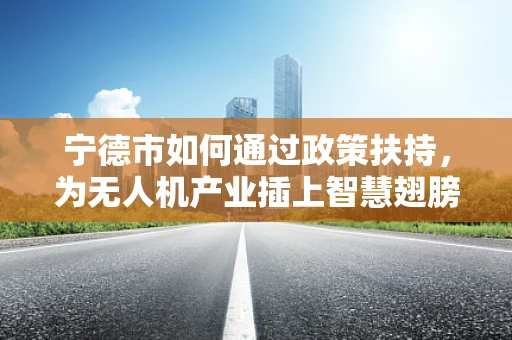 宁德市如何通过政策扶持，为无人机产业插上智慧翅膀？