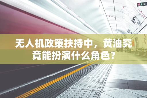 无人机政策扶持中，黄油究竟能扮演什么角色？