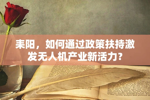 耒阳，如何通过政策扶持激发无人机产业新活力？