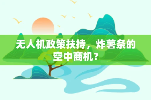 无人机政策扶持，炸薯条的空中商机？
