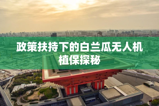 政策扶持下的白兰瓜无人机植保探秘