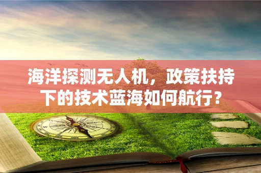 海洋探测无人机，政策扶持下的技术蓝海如何航行？