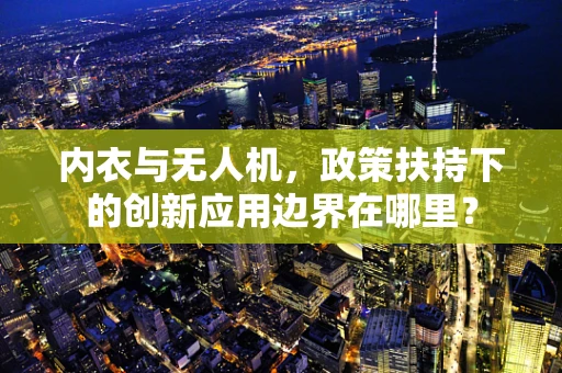 内衣与无人机，政策扶持下的创新应用边界在哪里？