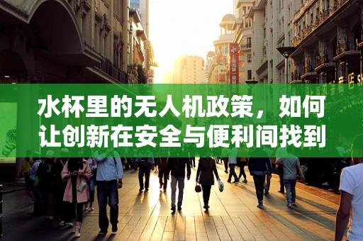 水杯里的无人机政策，如何让创新在安全与便利间找到平衡？