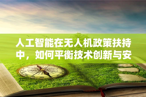人工智能在无人机政策扶持中，如何平衡技术创新与安全监管？