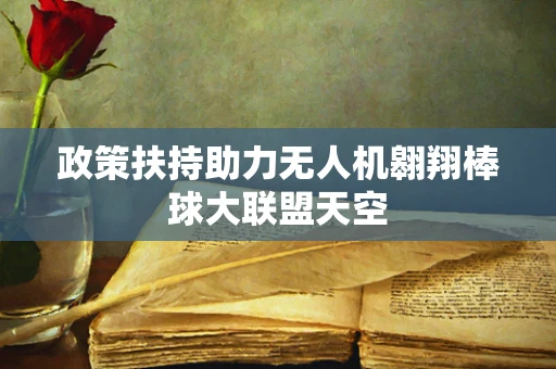 政策扶持助力无人机翱翔棒球大联盟天空