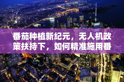 番茄种植新纪元，无人机政策扶持下，如何精准施用番茄肥？