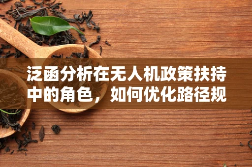 泛函分析在无人机政策扶持中的角色，如何优化路径规划与风险评估？