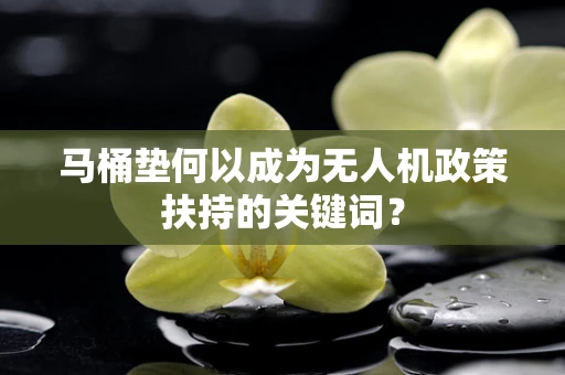 马桶垫何以成为无人机政策扶持的关键词？