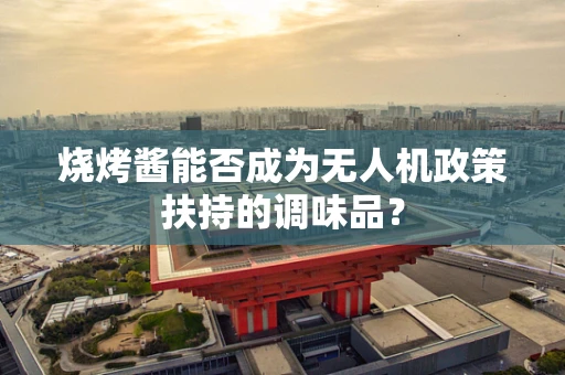 烧烤酱能否成为无人机政策扶持的调味品？