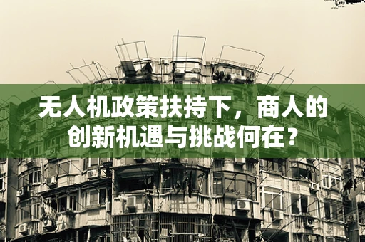 无人机政策扶持下，商人的创新机遇与挑战何在？