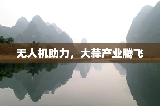 无人机助力，大蒜产业腾飞