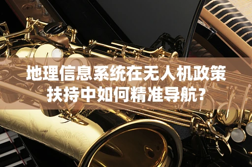地理信息系统在无人机政策扶持中如何精准导航？