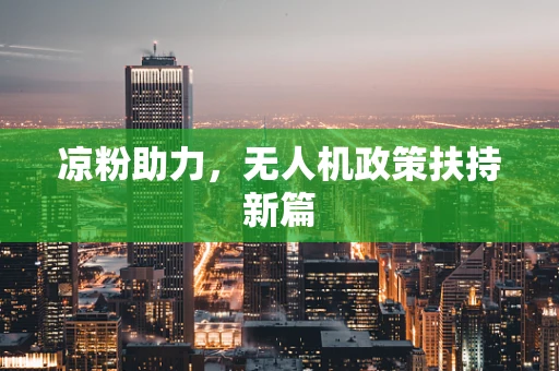 凉粉助力，无人机政策扶持新篇