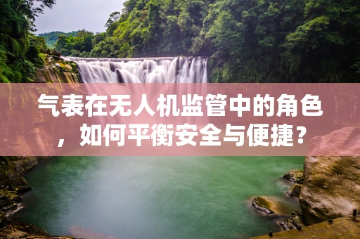 气表在无人机监管中的角色，如何平衡安全与便捷？