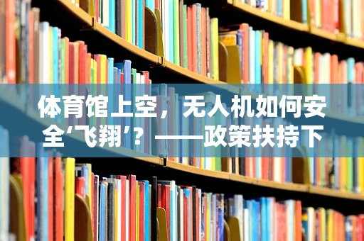 体育馆上空，无人机如何安全‘飞翔’？——政策扶持下的安全监管新挑战