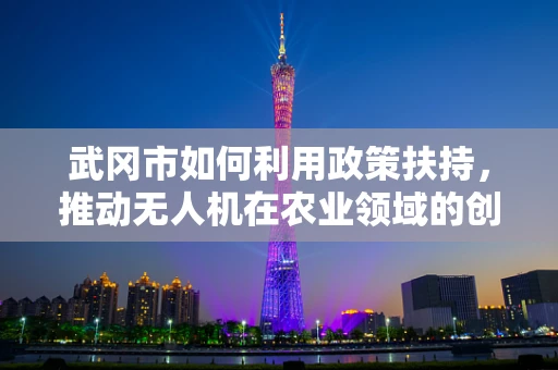 武冈市如何利用政策扶持，推动无人机在农业领域的创新应用？
