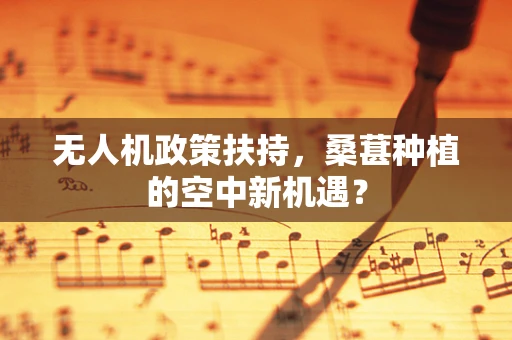 无人机政策扶持，桑葚种植的空中新机遇？