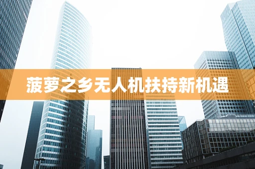 菠萝之乡无人机扶持新机遇