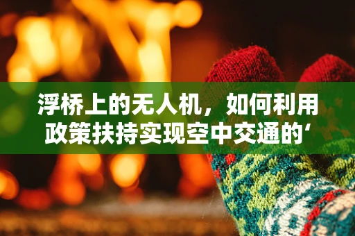 浮桥上的无人机，如何利用政策扶持实现空中交通的‘桥梁’安全？