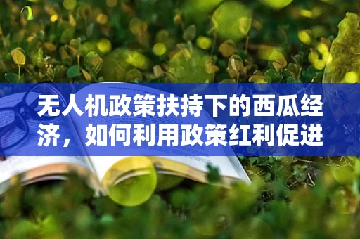无人机政策扶持下的西瓜经济，如何利用政策红利促进农业无人机应用？