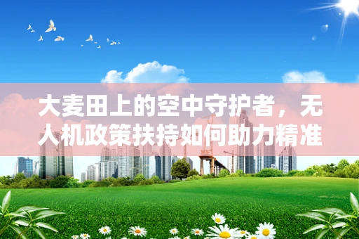大麦田上的空中守护者，无人机政策扶持如何助力精准农业？