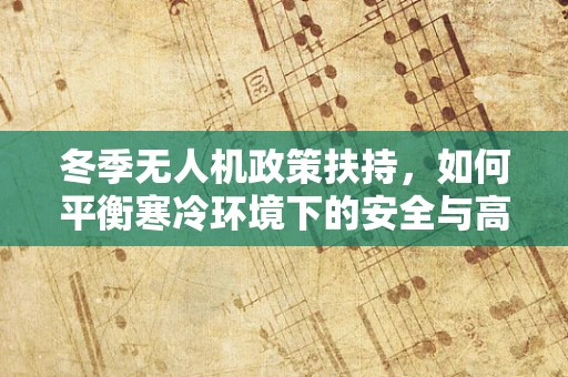 冬季无人机政策扶持，如何平衡寒冷环境下的安全与高效飞行？