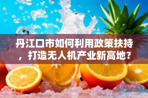 丹江口市如何利用政策扶持，打造无人机产业新高地？