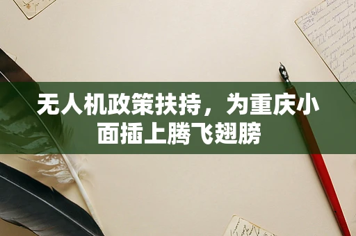 无人机政策扶持，为重庆小面插上腾飞翅膀