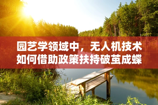 园艺学领域中，无人机技术如何借助政策扶持破茧成蝶？
