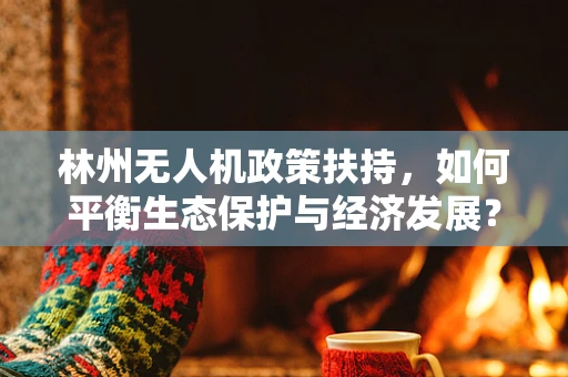 林州无人机政策扶持，如何平衡生态保护与经济发展？