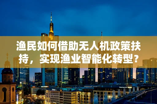 渔民如何借助无人机政策扶持，实现渔业智能化转型？