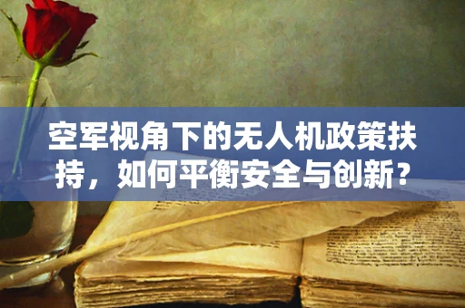 空军视角下的无人机政策扶持，如何平衡安全与创新？