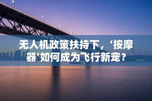 无人机政策扶持下，‘按摩器’如何成为飞行新宠？