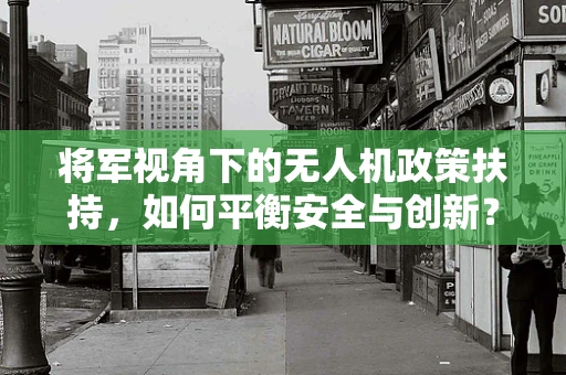 将军视角下的无人机政策扶持，如何平衡安全与创新？