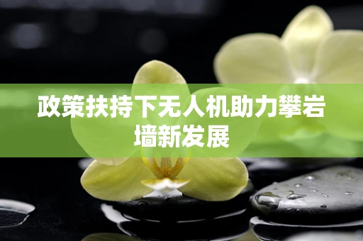 政策扶持下无人机助力攀岩墙新发展