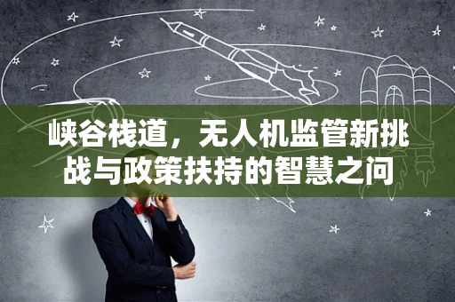 峡谷栈道，无人机监管新挑战与政策扶持的智慧之问