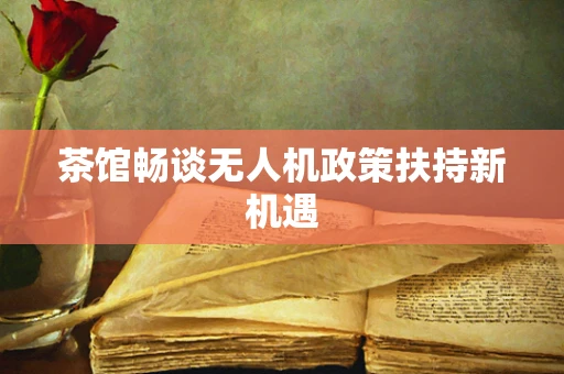茶馆畅谈无人机政策扶持新机遇